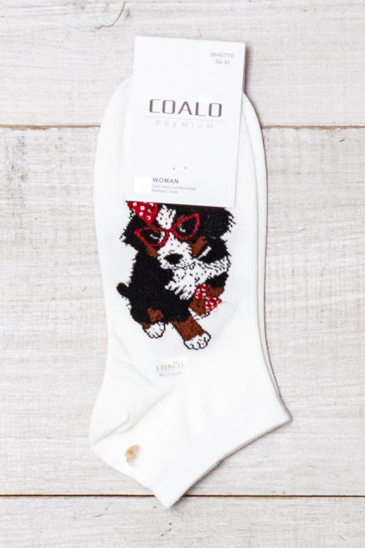 Шкарпетки жіночі (демісезон)